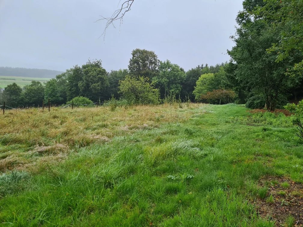 Baugrundstück in Harlange