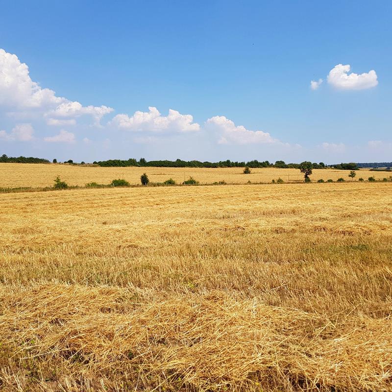 Le propriétaire d’un terrain ?